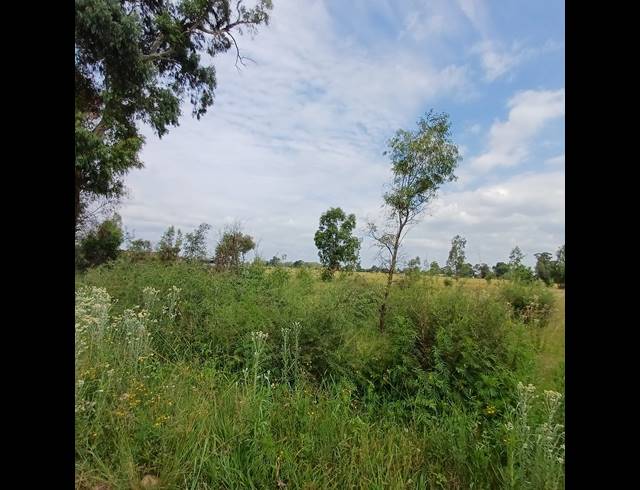 87,023M² VACANT LAND FOR SALE IN OPHIR AH